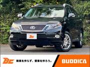 2009 LEXUS RX