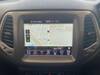 CHRYSLER JEEP COMPASS