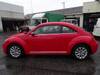 VOLKSWAGEN THE BEETLE