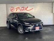 2019 LEXUS NX