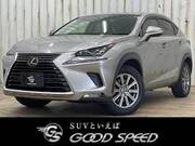 2018 LEXUS NX