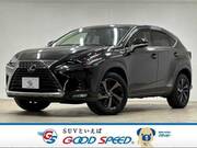 2017 LEXUS NX