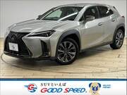 2020 LEXUS UX