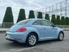 VOLKSWAGEN THE BEETLE
