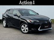 2019 LEXUS UX