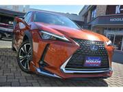 2018 LEXUS UX