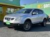NISSAN DUALIS