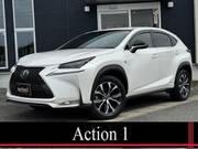 2014 LEXUS NX