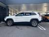 CHRYSLER JEEP CHEROKEE