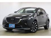 2019 MAZDA CX-3