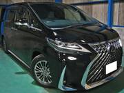 2019 TOYOTA ALPHARD