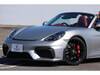 PORSCHE OTHER