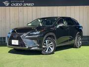 2018 LEXUS NX