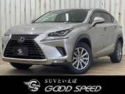 2018 LEXUS NX