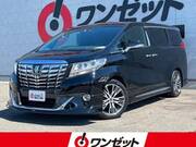 2016 TOYOTA ALPHARD