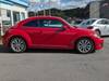 VOLKSWAGEN THE BEETLE