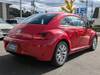 VOLKSWAGEN THE BEETLE
