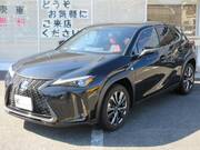 2018 LEXUS UX