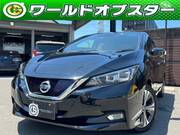 2019 NISSAN LEAF G