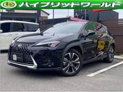 2019 LEXUS UX