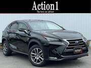 2014 LEXUS NX