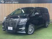 2015 TOYOTA ALPHARD S CPACKAGE
