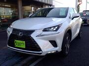 2020 LEXUS NX