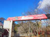 HINO POWDER CEMENT TRUCK