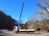HINO POWDER CEMENT TRUCK