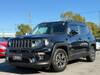 CHRYSLER JEEP RENEGADE