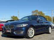 2016 BMW 2 SERIES