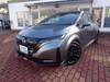 NISSAN OTHER