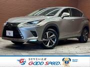 2019 LEXUS NX