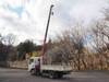 ISUZU OTHER
