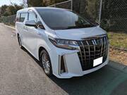 2019 TOYOTA ALPHARD HYBRID