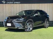 2018 LEXUS NX