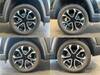 CHRYSLER JEEP COMPASS