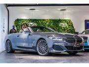 2019 BMW 8 SERIES