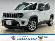 2019 CHRYSLER JEEP RENEGADE