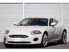 JAGUAR XK
