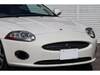 JAGUAR XK