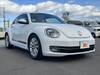 VOLKSWAGEN THE BEETLE