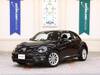 VOLKSWAGEN THE BEETLE