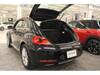VOLKSWAGEN THE BEETLE