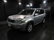 2010 NISSAN X-TRAIL