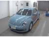 VOLKSWAGEN THE BEETLE