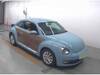 VOLKSWAGEN THE BEETLE