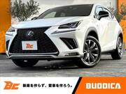 2020 LEXUS NX