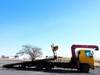 FUSO FIGHTER
