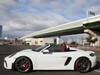 PORSCHE OTHER